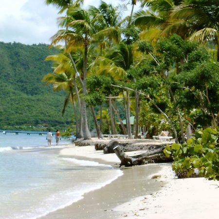 Villas Creoles Сент-Анн Экстерьер фото